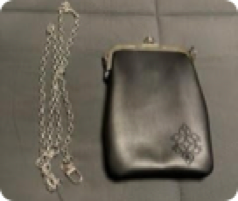 Sunglass Case