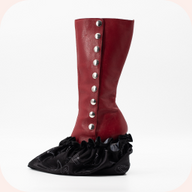 2 Shoe Covers